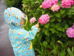 雨の日のおさんぽ