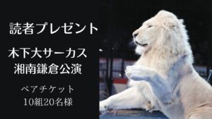 【読者プレゼント】木下大サーカス ペアチケット10組様