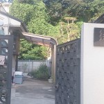 【参加者募集】9月10日はぴママランチ会開催します