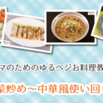 【子連れOK！】ママのためのゆるベジお料理教室：万能野菜炒め～中華風使い回し講座～