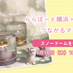 【ららぽーと横浜×はぴはぴ】つながるママ会：1月16日（木）