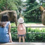 行ったつもりで楽しもう！おうちで観られる動物園公式動画