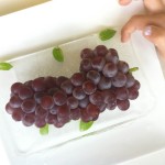 究極！ひんやり食器を楽しもう