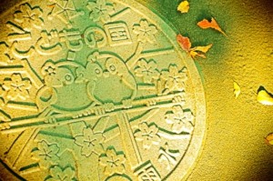 マンホール女子？